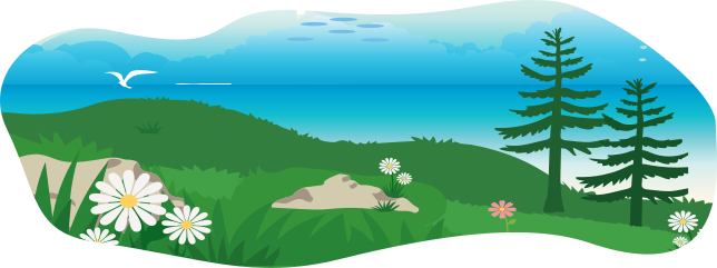 slider image